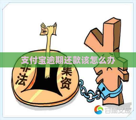 支付宝逾期还款该怎么办