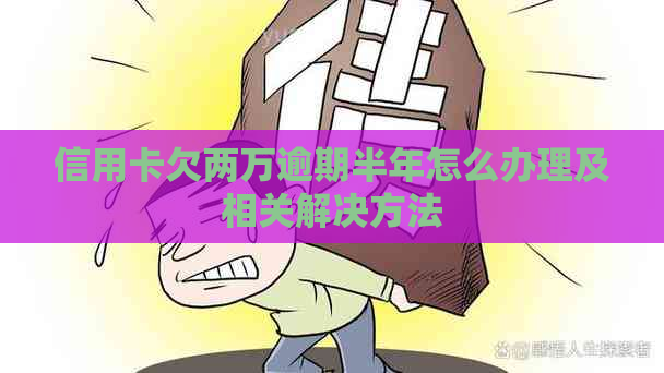 信用卡欠两万逾期半年怎么办理及相关解决方法