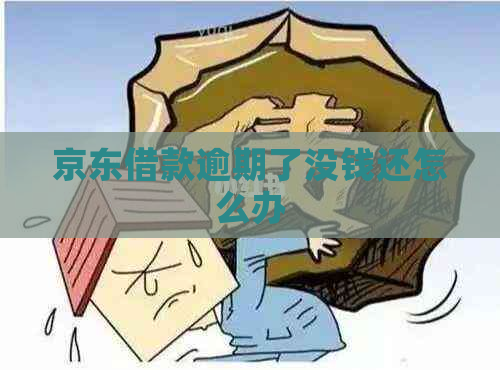 京东借款逾期了没钱还怎么办