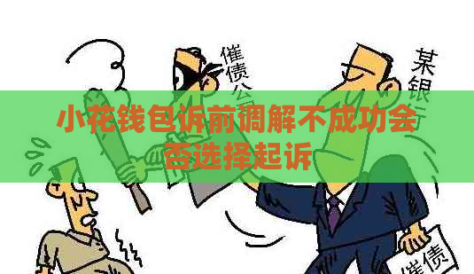 小花钱包诉前调解不成功会否选择起诉