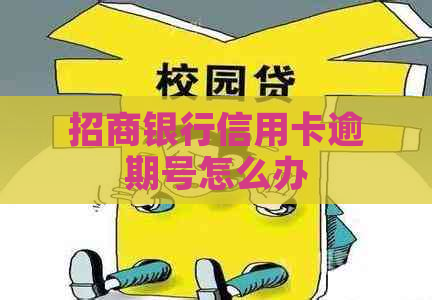 招商银行信用卡逾期号怎么办