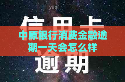 中原银行消费金融逾期一天会怎么样