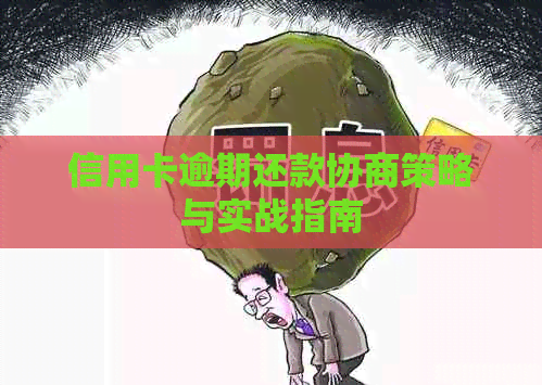 信用卡逾期还款协商策略与实战指南