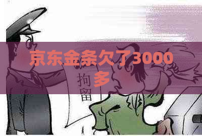 京东金条欠了3000多