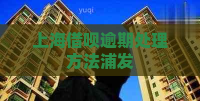 上海借呗逾期处理方法浦发