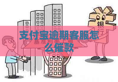 支付宝逾期客服怎么催款