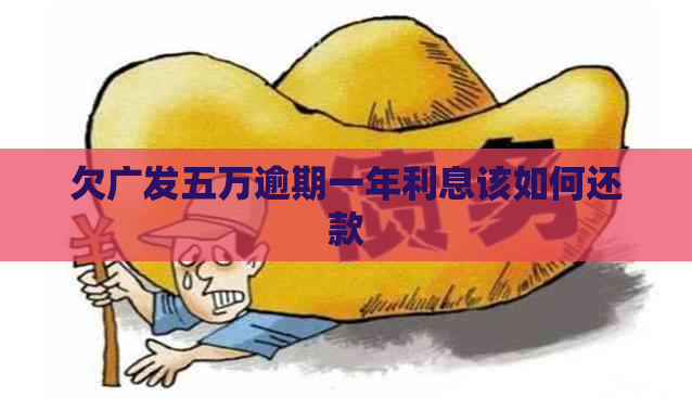 欠广发五万逾期一年利息该如何还款