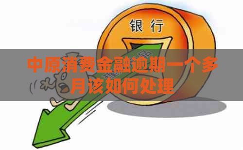 中原消费金融逾期一个多月该如何处理