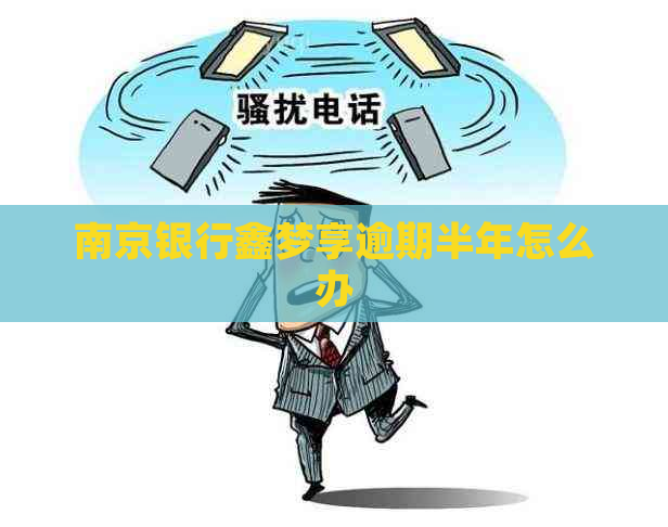 南京银行鑫梦享逾期半年怎么办