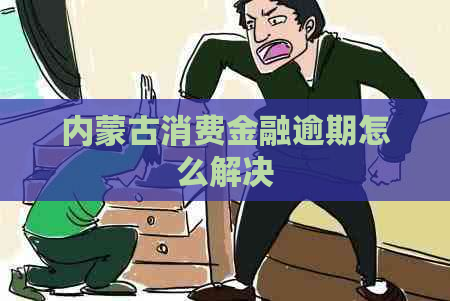 内蒙古消费金融逾期怎么解决