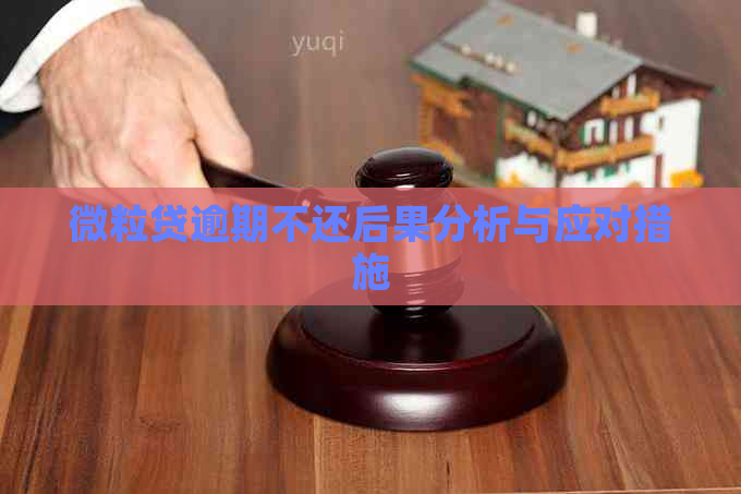 微粒贷逾期不还后果分析与应对措施