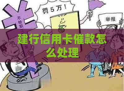 建行信用卡催款怎么处理