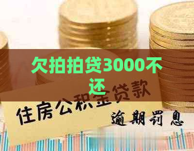 欠3000不还