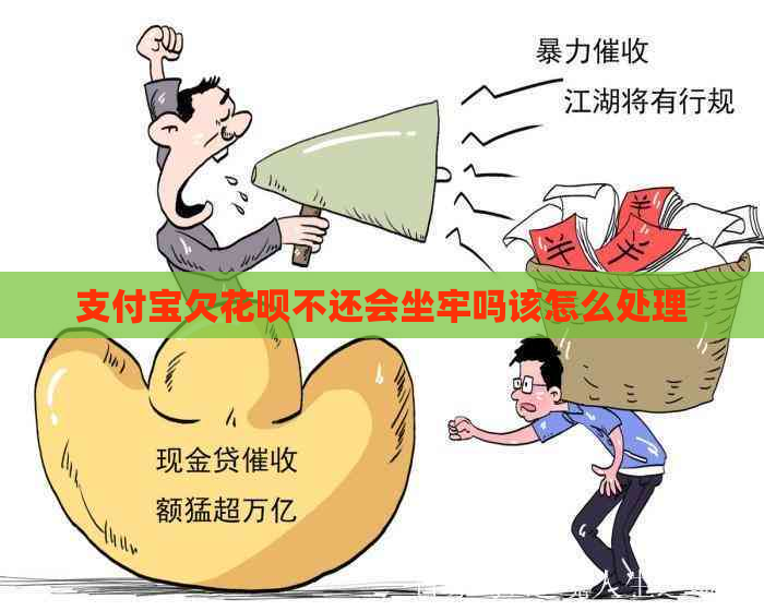 支付宝欠花呗不还会坐牢吗该怎么处理