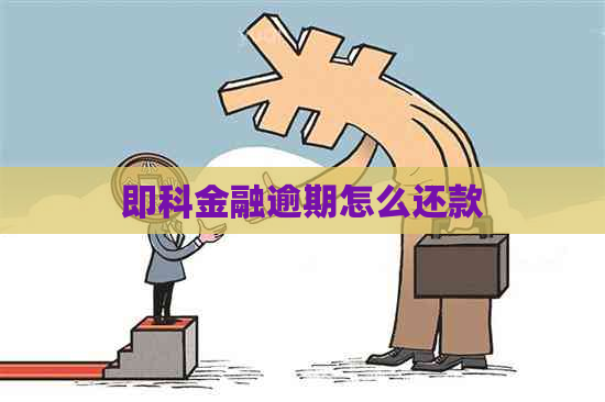 即科金融逾期怎么还款