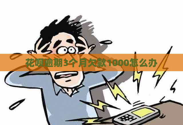 花呗逾期3个月欠款1000怎么办