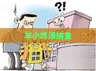 羊小咩滞纳金