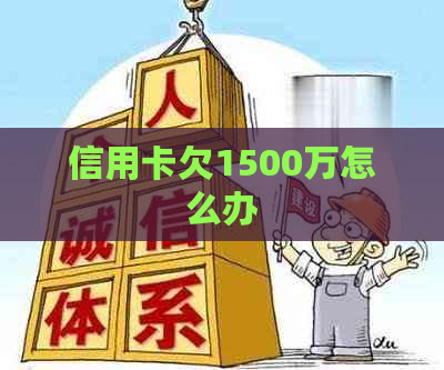 信用卡欠1500万怎么办