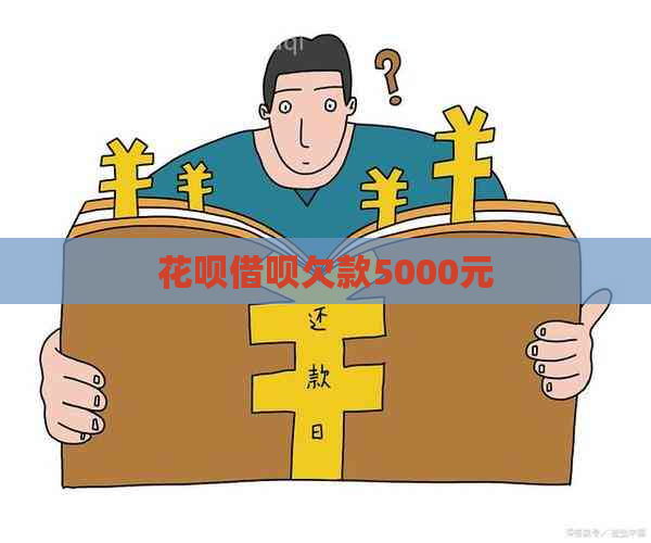 花呗借呗欠款5000元