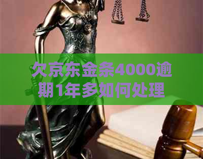 欠京东金条4000逾期1年多如何处理