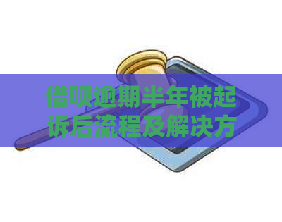 借呗逾期半年被起诉后流程及解决方法