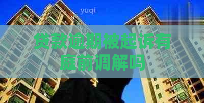 贷款逾期被起诉有庭前调解吗