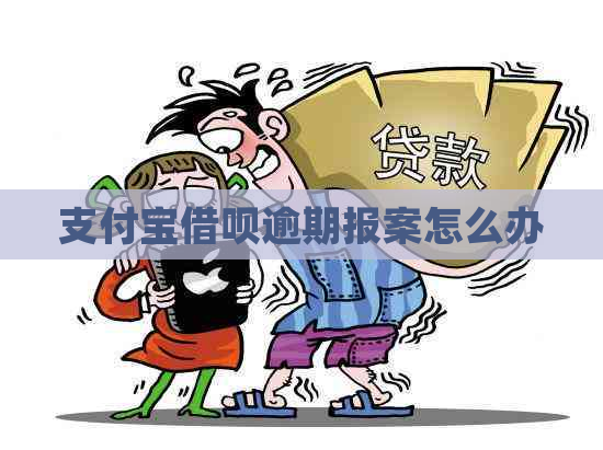 支付宝借呗逾期报案怎么办