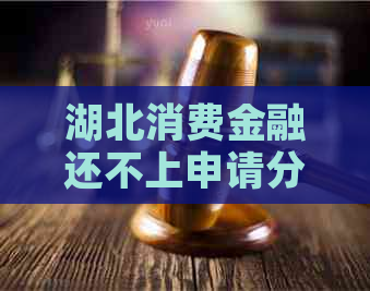 湖北消费金融还不上申请分期