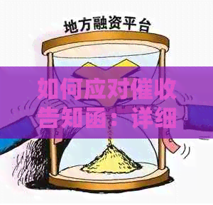 如何应对告知函：详细指南与建议