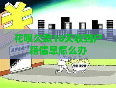 花呗欠款10天收到户籍信息怎么办