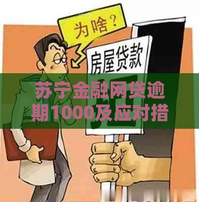 苏宁金融网贷逾期1000及应对措施分享