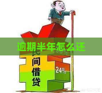 逾期半年怎么还