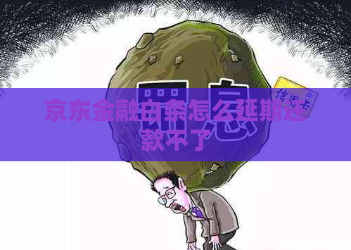 京东金融白条怎么延期还款不了