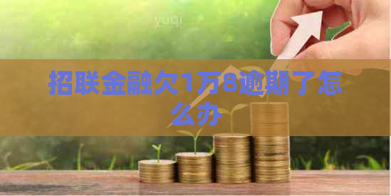 招联金融欠1万8逾期了怎么办