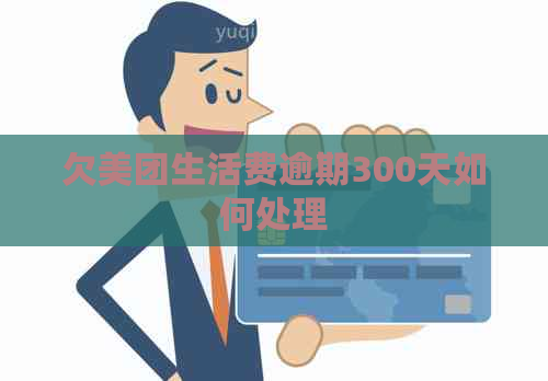 欠美团生活费逾期300天如何处理