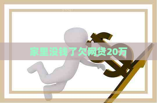 家里没钱了欠网贷20万