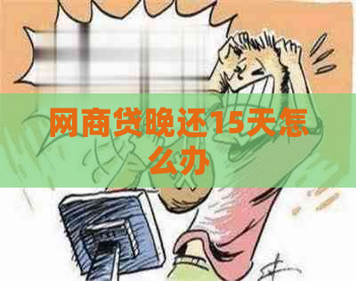 网商贷晚还15天怎么办