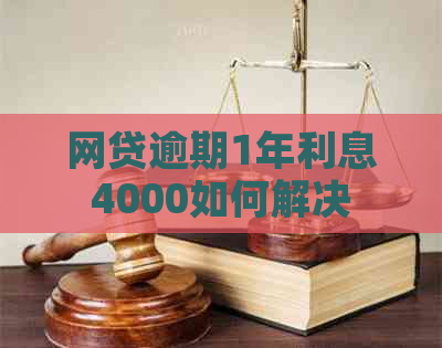 网贷逾期1年利息4000如何解决