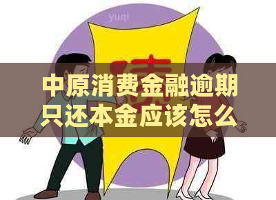 中原消费金融逾期只还本金应该怎么处理