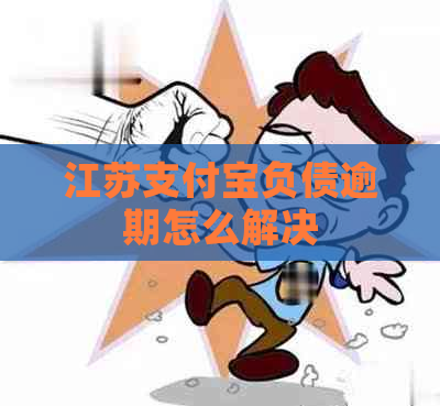 江苏支付宝负债逾期怎么解决