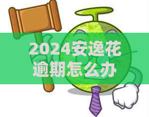 2024安逸花逾期怎么办