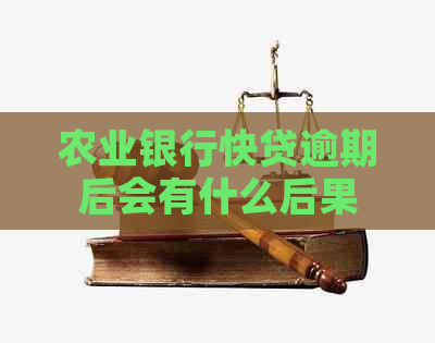 农业银行快贷逾期后会有什么后果