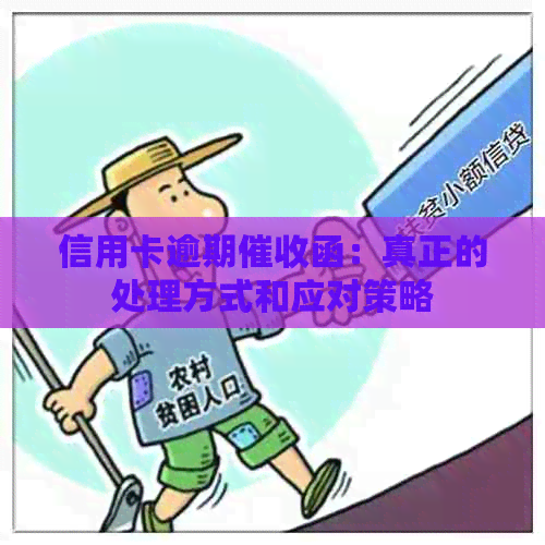 信用卡逾期函：真正的处理方式和应对策略