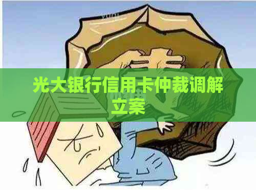 光大银行信用卡仲裁调解立案