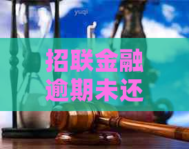 招联金融逾期未还案例分析及解决方案