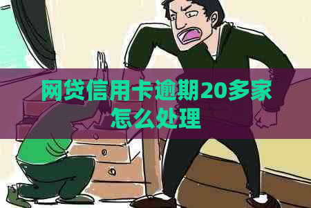 网贷信用卡逾期20多家怎么处理