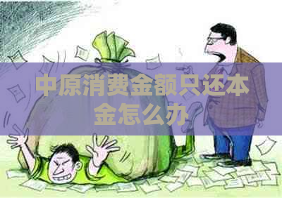 中原消费金额只还本金怎么办