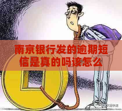 南京银行发的逾期短信是真的吗该怎么判断