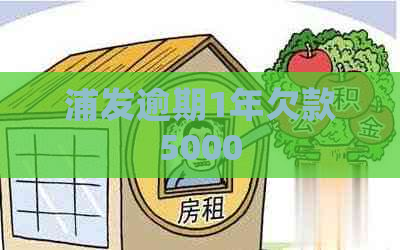 浦发逾期1年欠款5000