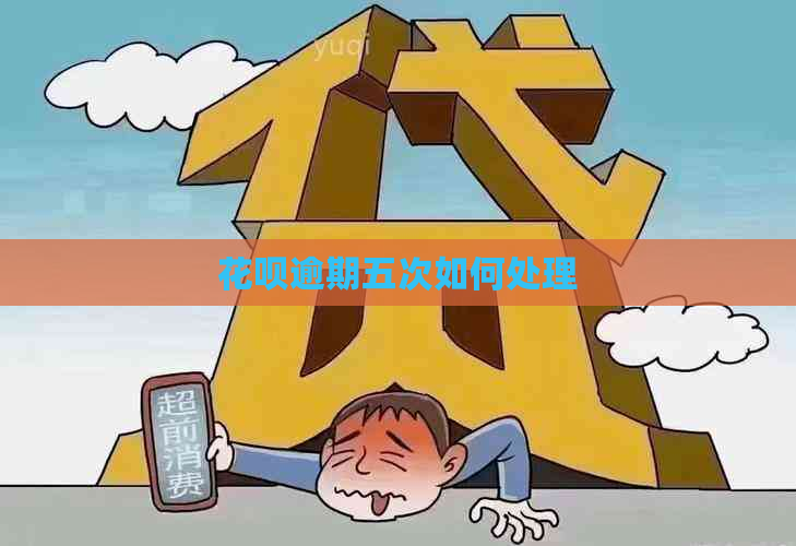 花呗逾期五次如何处理